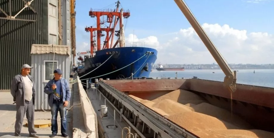 Росія погодилася відновити інспекцію суден, які проходять "зерновим коридором"