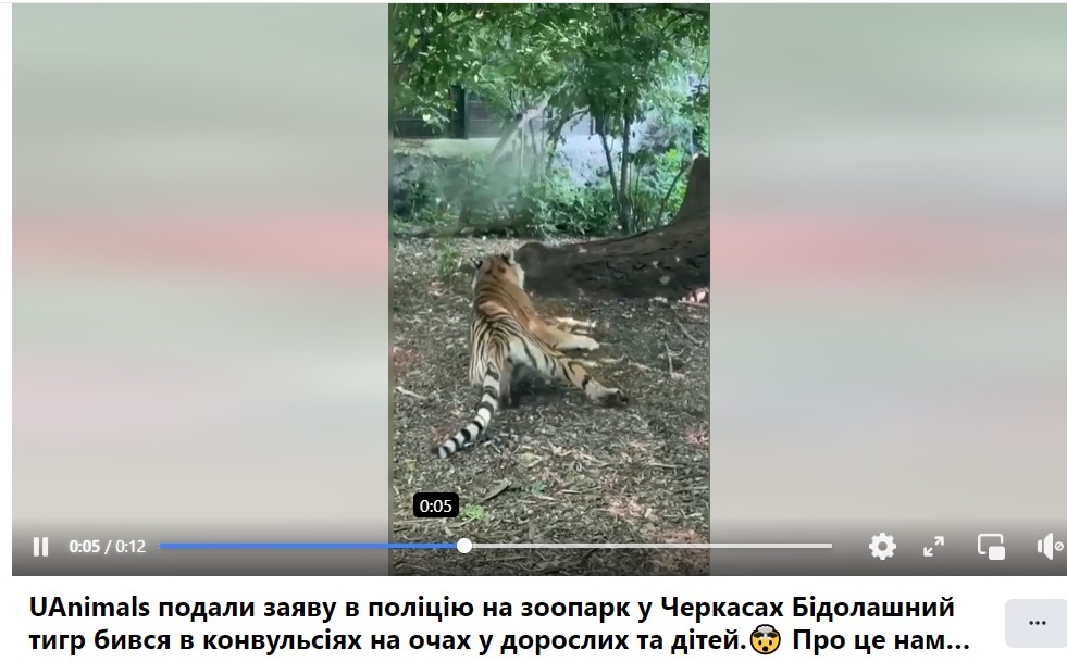 Скрін з відео події у зоопарку, який оприлюднили UA Animals