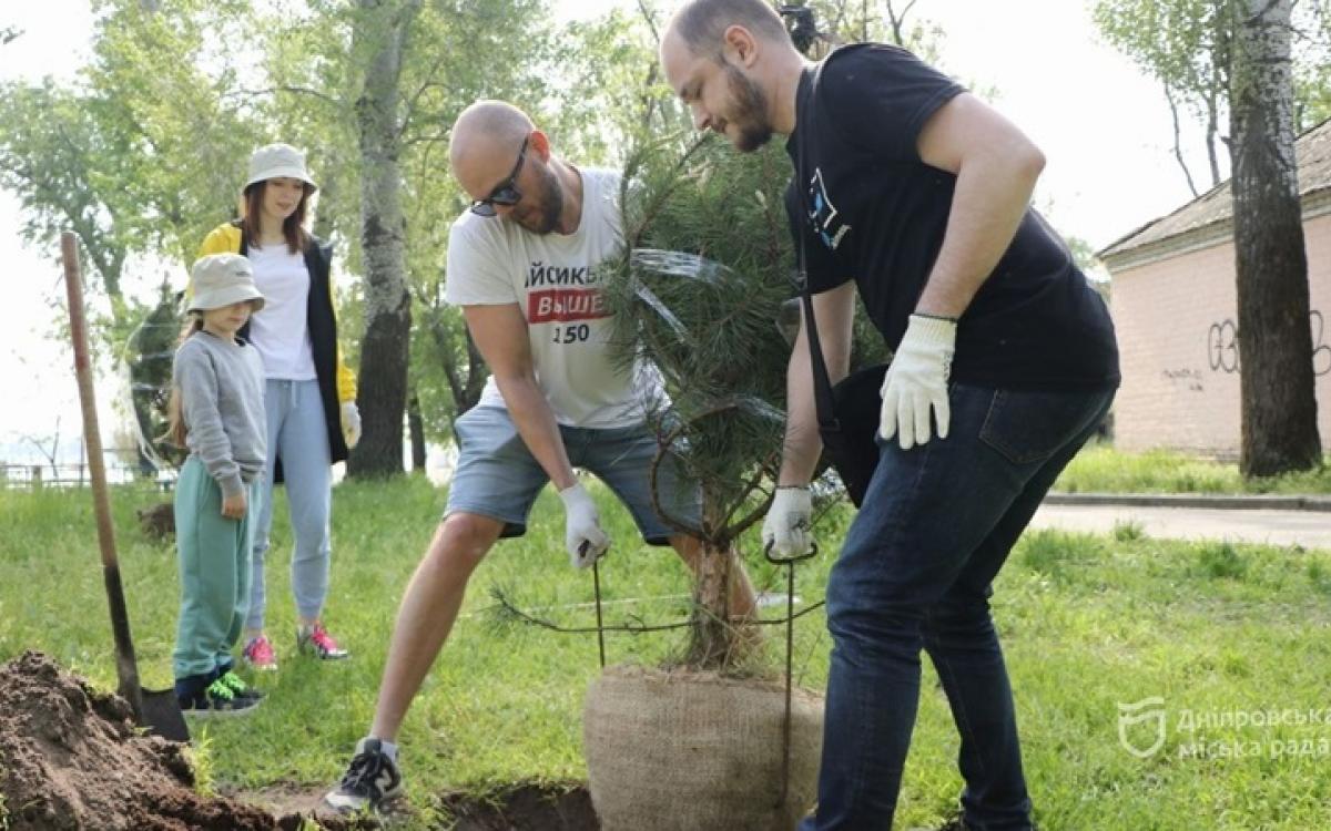 Dnipro Kvituchy: over 30 pine trees were planted by representatives of the IT company on Monastirsky Island